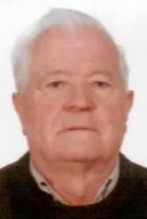 JOSIP GOLUB
