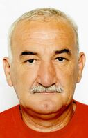 BORIS DAMIJANIĆ
