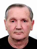 VLADIMIR IVINOVIĆ
