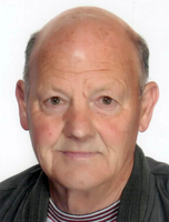 MIHAEL DREMELJ (Mišel)