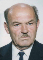 ANĐELO VRETENAR