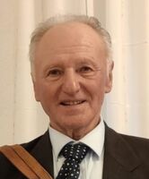 LINO VISINTIN