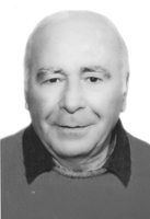 VLADIMIR STEFANOVIĆ