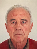SILVIO PALISKA