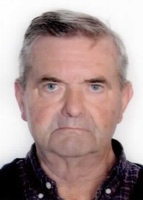 VLADIMIR FARAGUNA