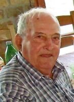 ALBINO ŠAULE