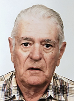 IVAN ĐANI BRAJKOVIĆ