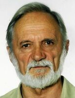 VLADIMIR BIRAČ