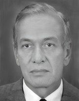 JULIJE SKENDEROVIĆ