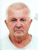DARIO MIŠON