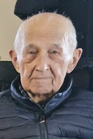 GINO MEDICA