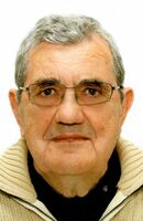 Dipl. ing. MIHAJLO STOJANOVIĆ