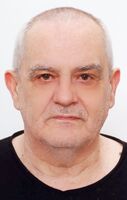 MIŠO PERIĆ