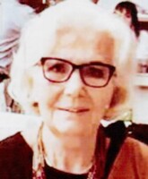 STOJA PJEVIĆ WILLEMS