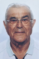 Ing. STJEPAN (STIPE) ŠEGOTA