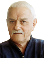 ALDO BESTULIĆ