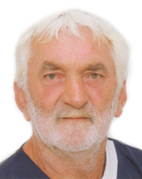 VAZMOSLAV PEREŠA - VUK