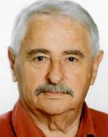 JOVAN VUKAŠIN