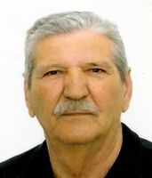 VLADIMIR BRENKO