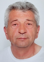 BOŽO MATOŠIĆ - IVICA