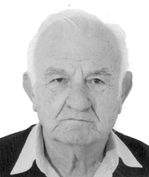 SVETISLAV MANIN