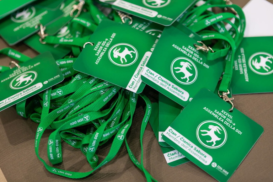 Šestero IDS-ovaca moglo bi nakon izbornog Sabora u studenome dobiti veće uloge u stranci