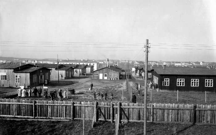 'U Gmündu smo dosta slabega provale', ili kako je Austro-Ugarska sa svjetske scene otišla uz zločin nad istarskim stanovništvom