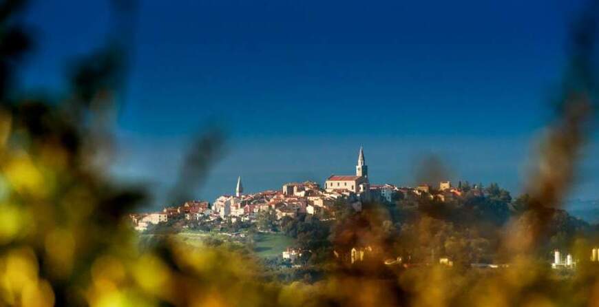 Vinska povijest Bujštine – istarske Toscane