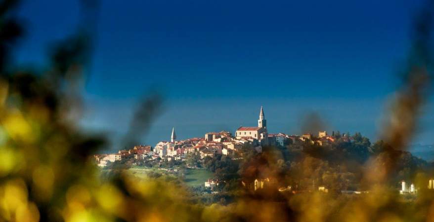 Vinska povijest Bujštine – istarske Toscane