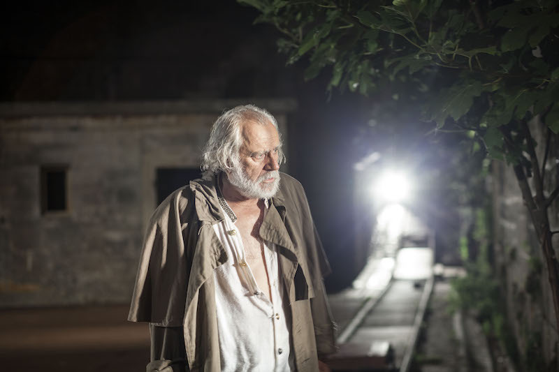 Rade Šerbedžija