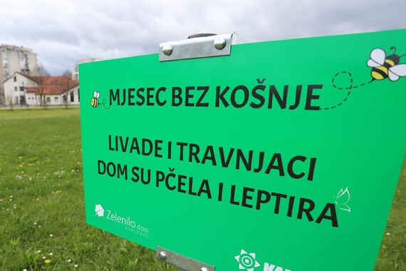 Korado Korlević i Nediljko Landeka u Circolu o važnosti pčela u gradu: 'Njihova paša, briga je naša'