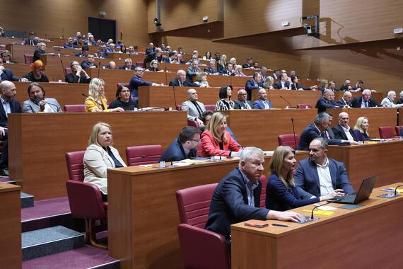 Za Turudićevu smjenu glasalo samo dvoje istarskih zastupnika, dva su bila protiv, a ostali nisu došli