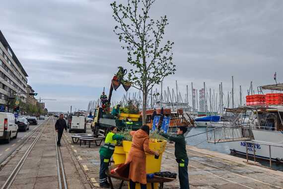 Na rivi postavljene posebne klupe, umjetnici će na Forumu oslikavati pisanice