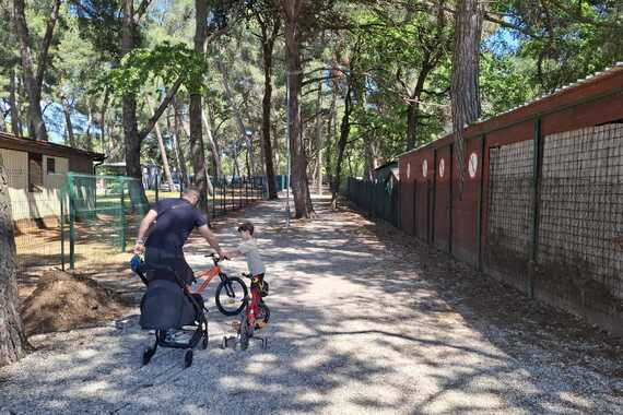 Šumska staza na kojoj je zabranjeno piškiti