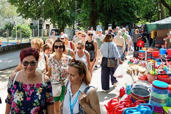 TO JE SAMANJ! Šinjore biraju maćuhice, a prodavač veselo viče: 'Ja i svinja, oboje iz Žminja!'