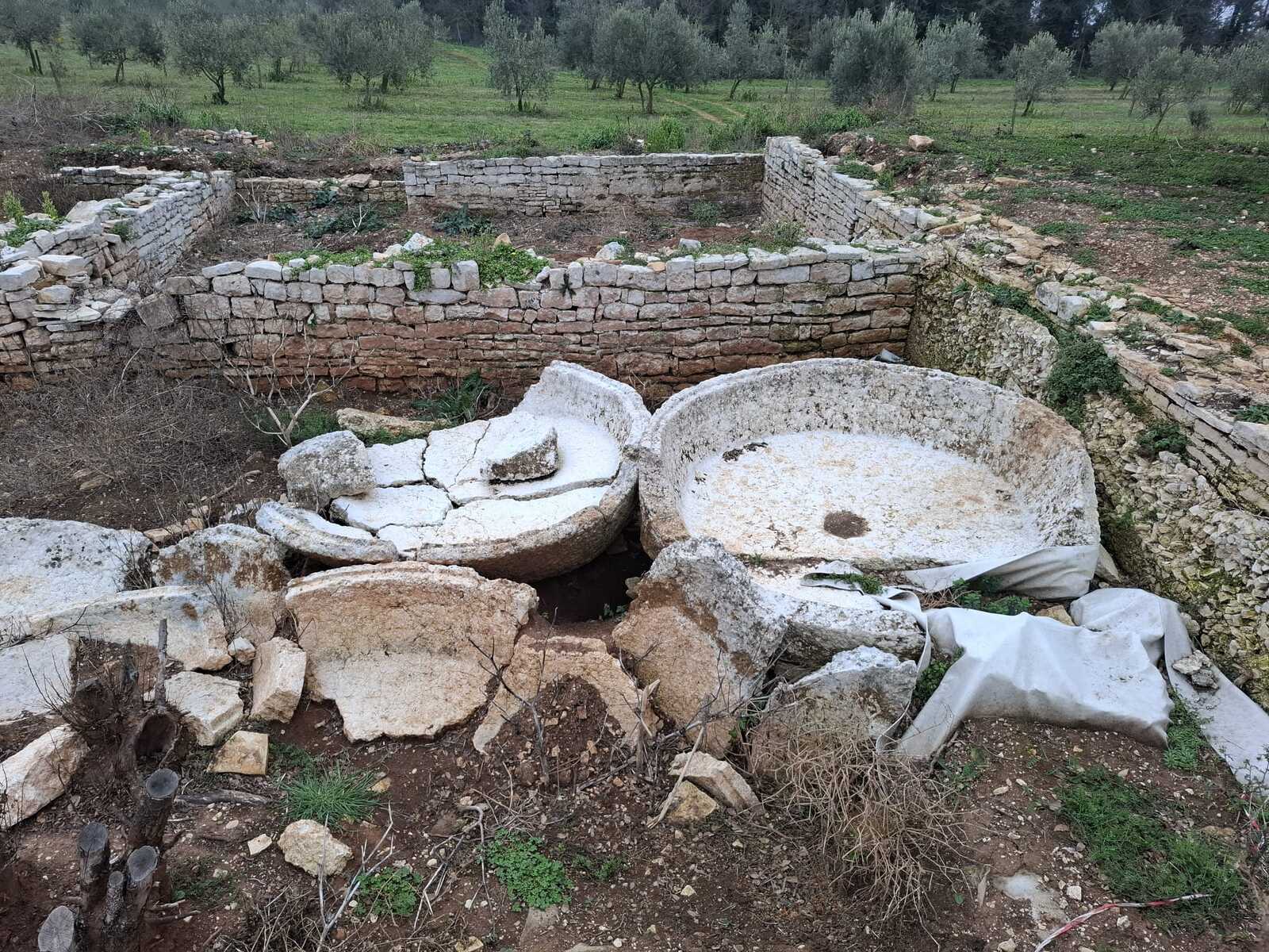 Ostaci rimske uljare u Barbarigi (Foto: Mirjana Vermezović Ivanović)