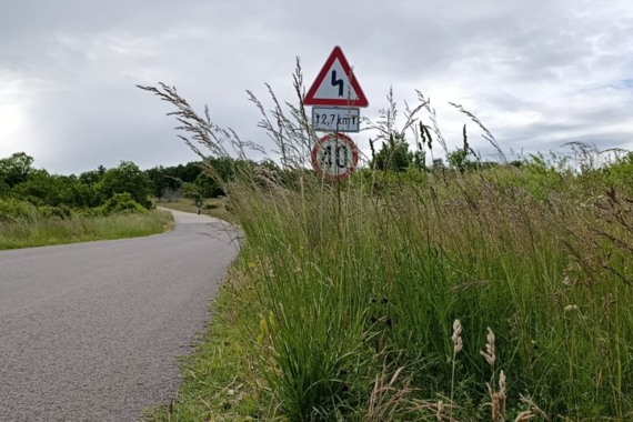 I ovog proljeća u Puli je tema trava, ali ne ona za pušenje