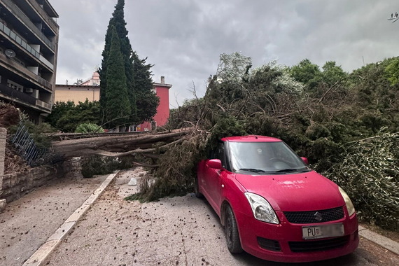 Srušena stabla, oštećeni automobili i blokirane ceste