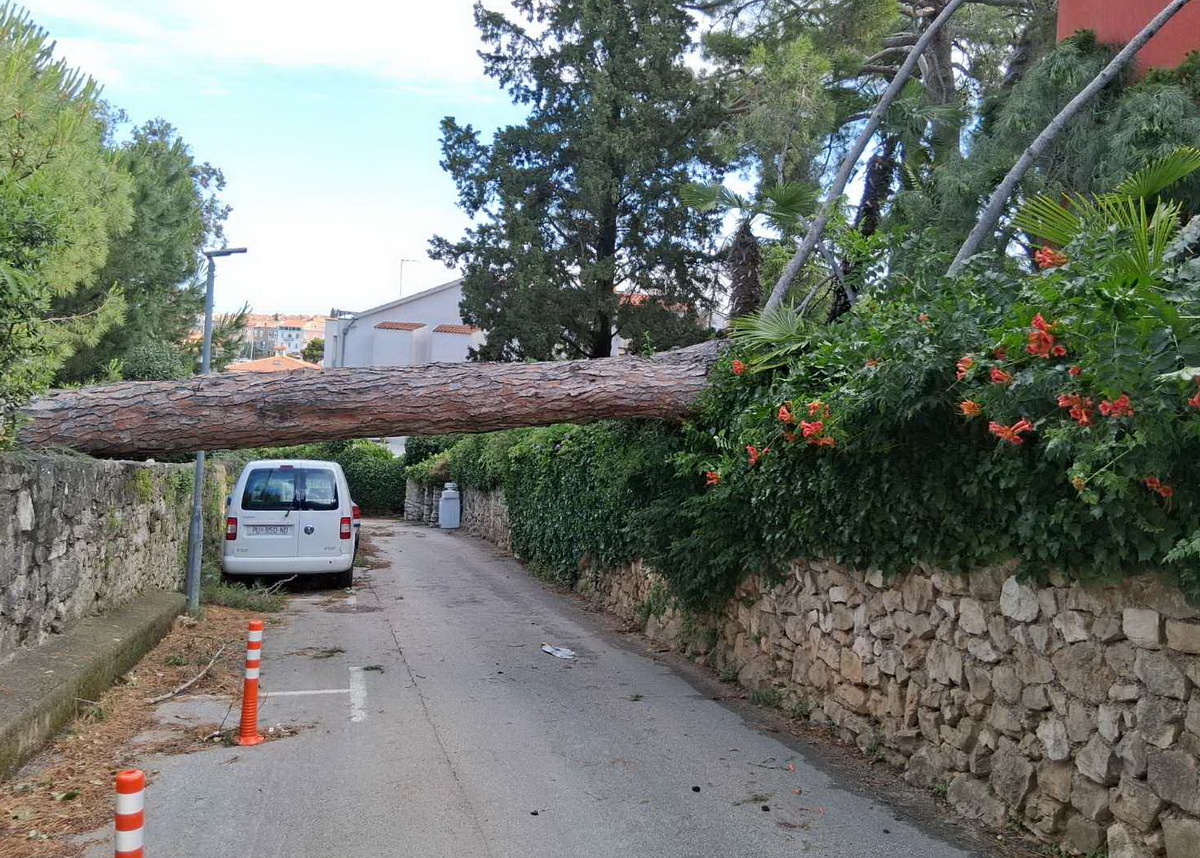 Foto: JVP Rovinj