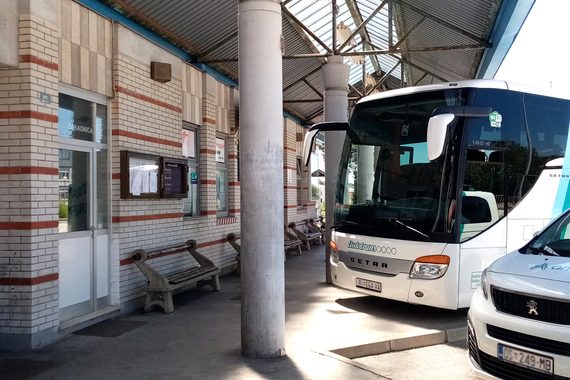 Zbog 'Džaba busa' jezični čistunci džaba grintaju – klincima je naziv top!
