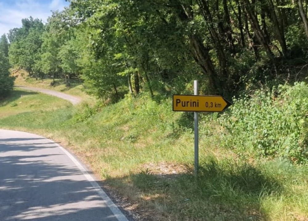 Purini su tu, ali Sušija nema (Foto: I. Radić)
