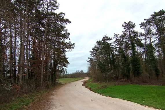 Počinje asfaltiranje ceste koja spaja Cibure i Veli Ježenj