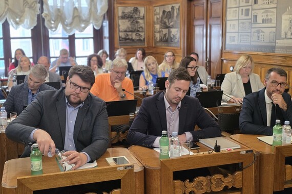 Članove upravnih vijeća i nadzornih odbora Grad Pula više neće birati na natječajima