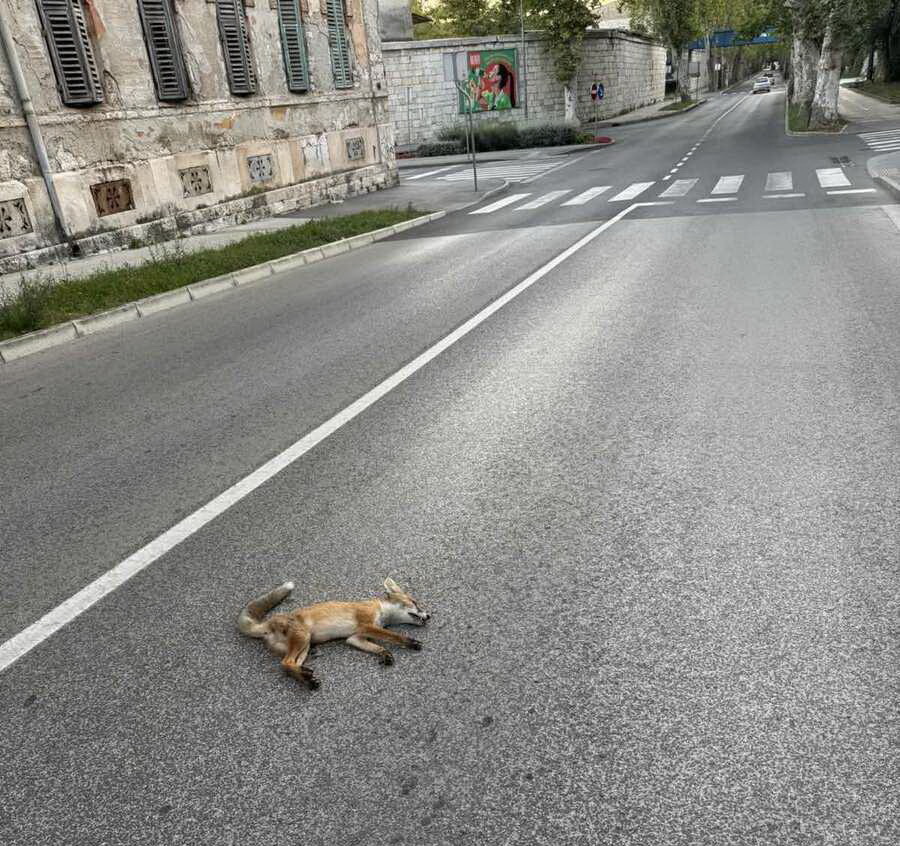 Foto: Istarski.hr 