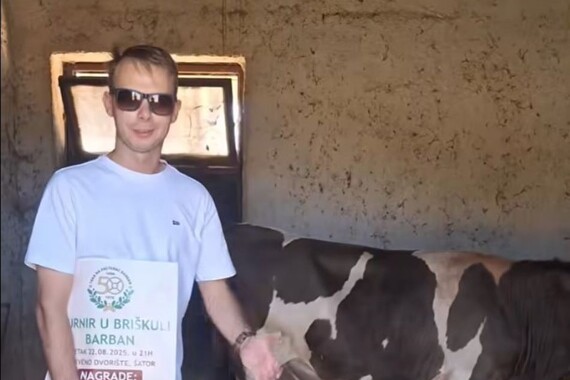 Mateo ‘Pićon za seh’ završio u - štali: on priča, junac maše repom! Video je urnebesan