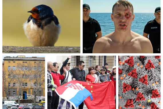 Pet crtica na kraju tjedna: Istru zahvatio virus srars-cov-2. Opasniji je od korone