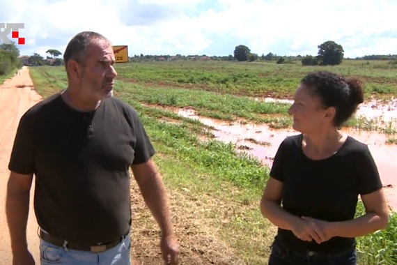 Drugi potop u tjedan dana: Uništeni nasadi rajčice i vinove loze