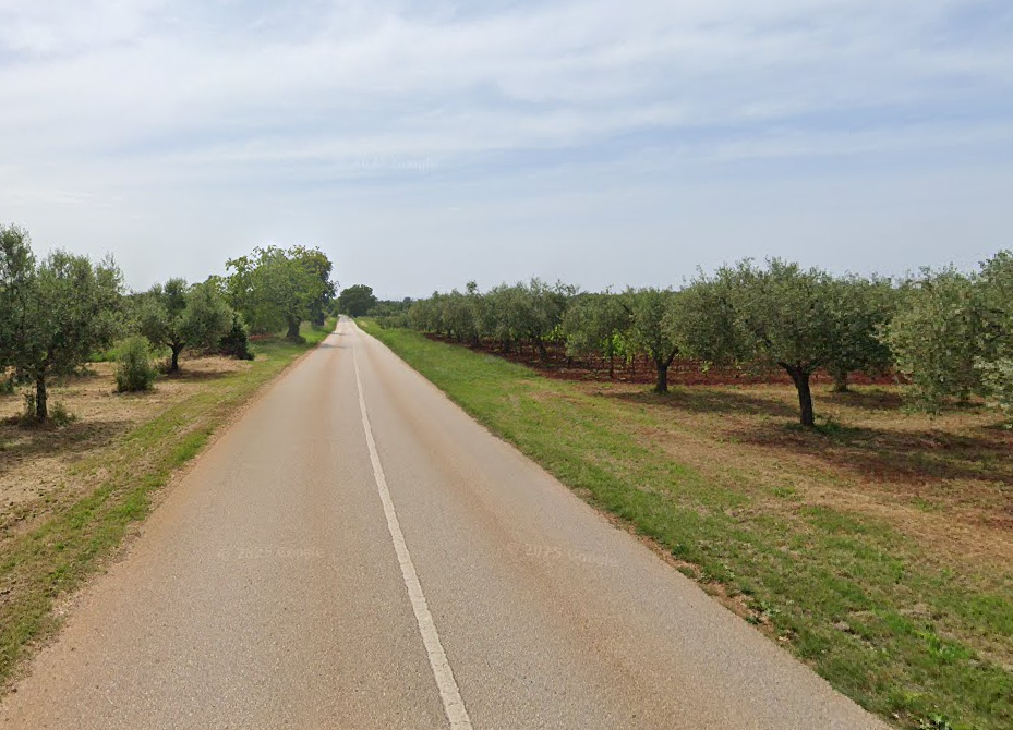 Nesreća se dogodila na cesti Brtonigla - Fiorini (foto: Google Maps)