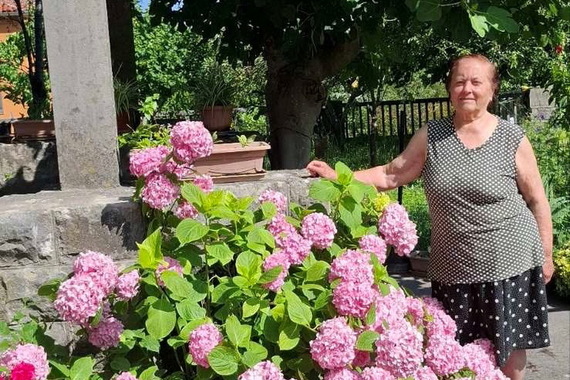 'Ponosna sam na svoju hortenziju koja traje desetljećima'