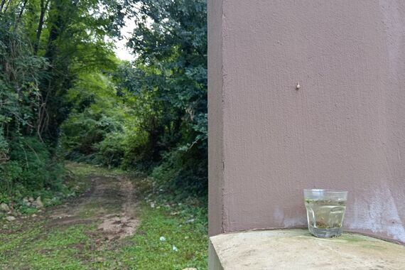 Pogledajte gdje ova čaša stoji već mjesecima – i nitko se ne usuđuje dirati je
